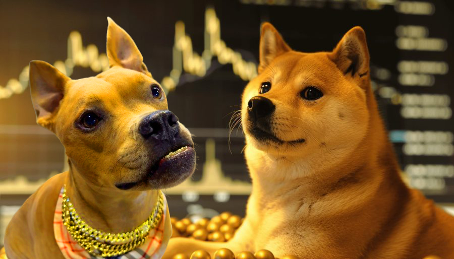 Dogecoin Tribute